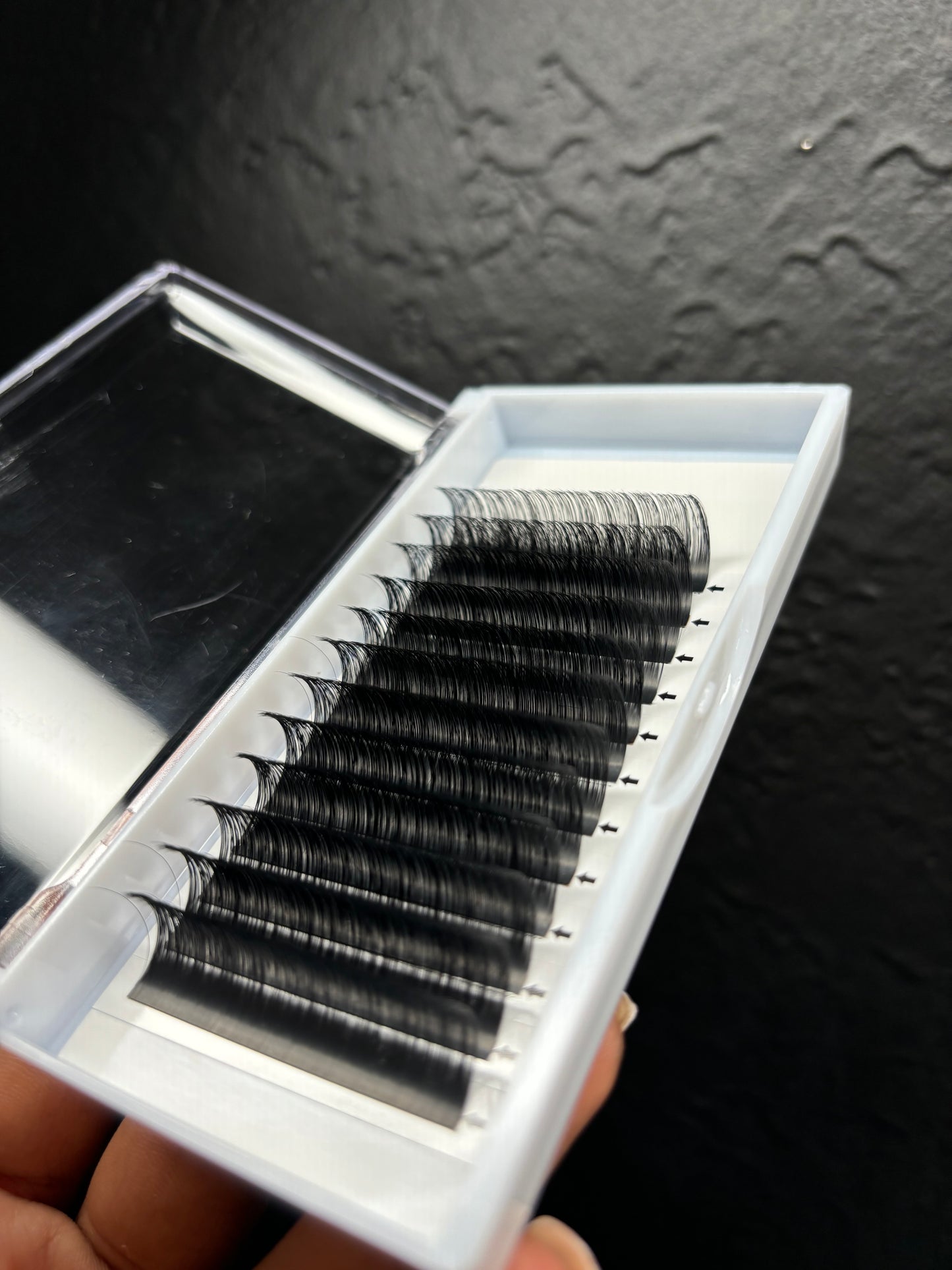 CC Curl Lash Trays